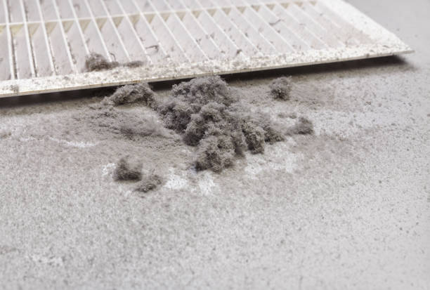 Best Best Air Duct Cleaning Company  in Ricardo, TX