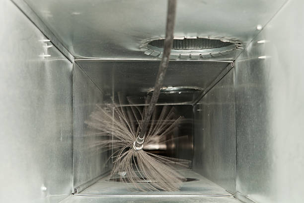 Best Dryer Vent Cleaning Services  in Ricardo, TX